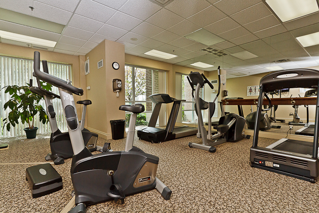 Michael Power Place Amenities