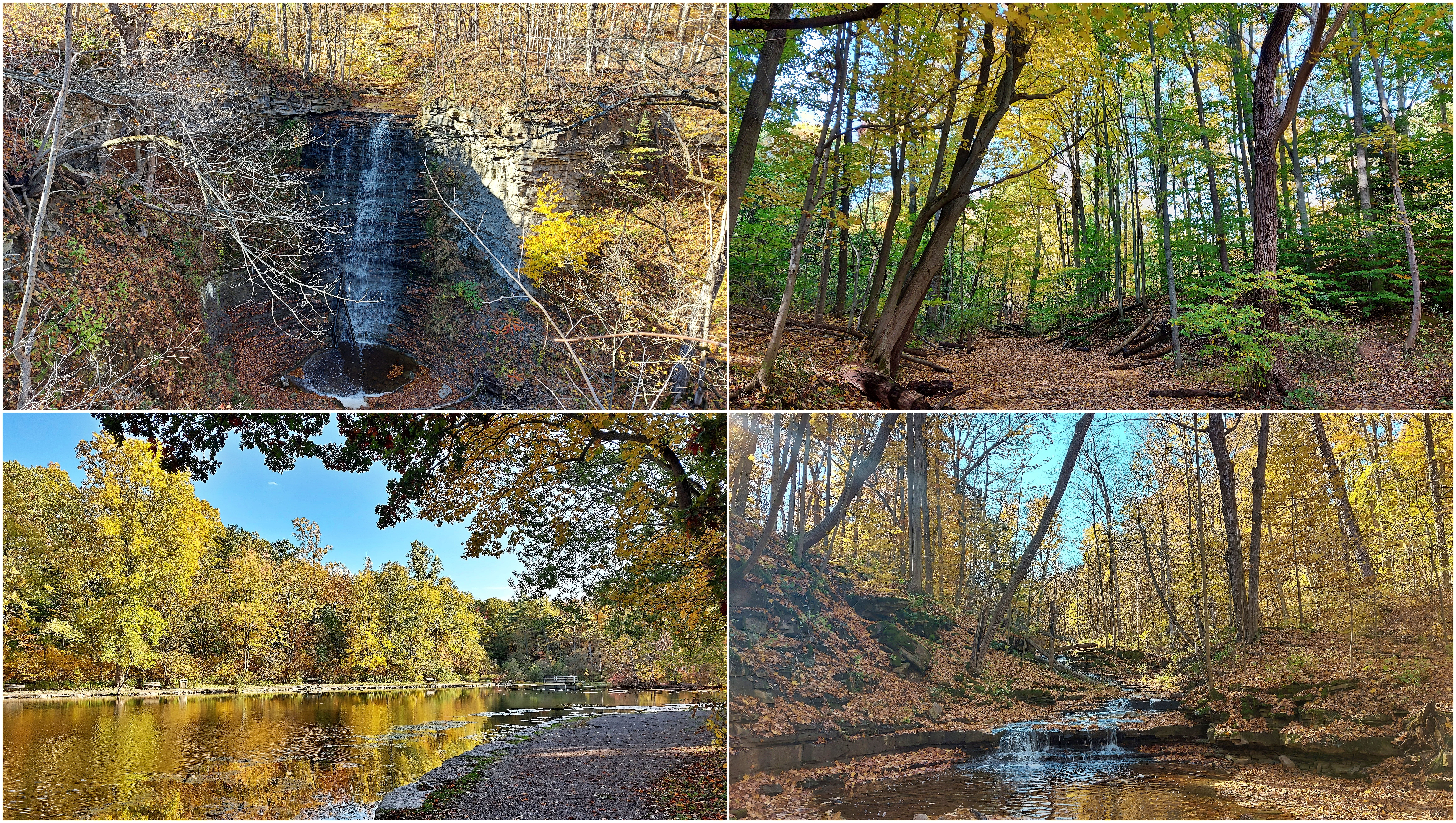 St. Johns Conservation Area trail and Short Hills Provincial Park in Pelham Ontario
