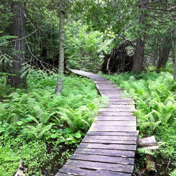 FIRST STREET TOWNS IN ORANGEVILLE Toronto VIP Homes Jas Singh Real