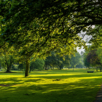 The Hidden Joys of Living Near Green Spaces and Parks