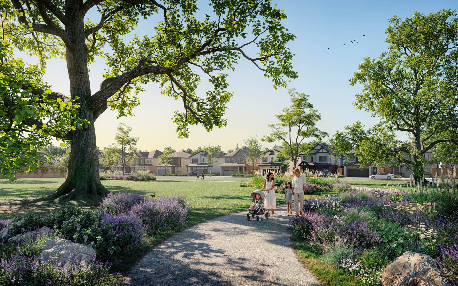 Creekstone project image