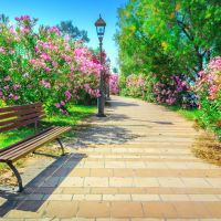 River Oaks Neighborhood Guide | Oakville Real Estate | Vieira Team