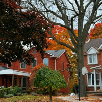 Semi vs Townhouse vs Detached Homes in Oakville - Vieira Real Estate Associates