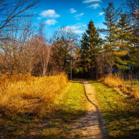 West Oak Trails and River Oaks in Oakville, Ontario | Living Comparisons