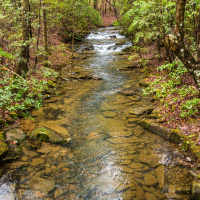 Bronte Creek vs. Joshua Creek - Picture of Bronte Creek