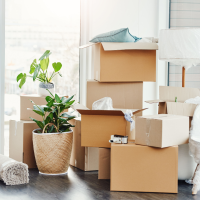 Moving from Toronto to Burlington Boxes and Packages | Local Burlington Realtors