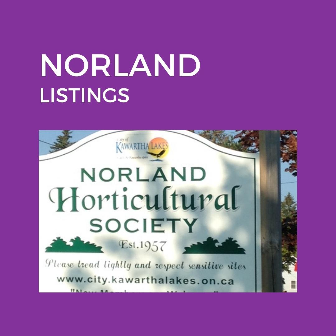 Home Kawartha Lakes Area Real Estate TeamJoy