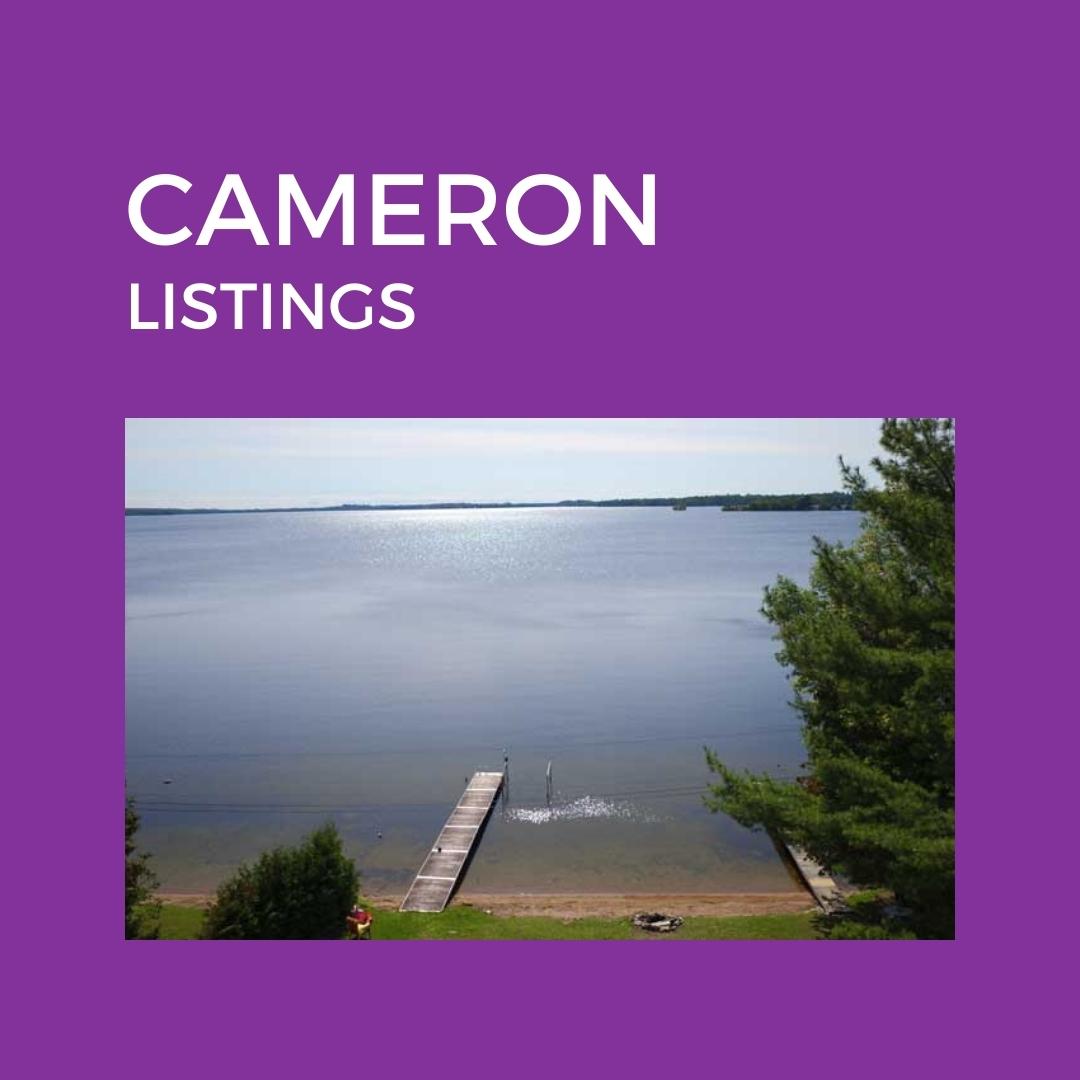 Home Kawartha Lakes Area Real Estate TeamJoy