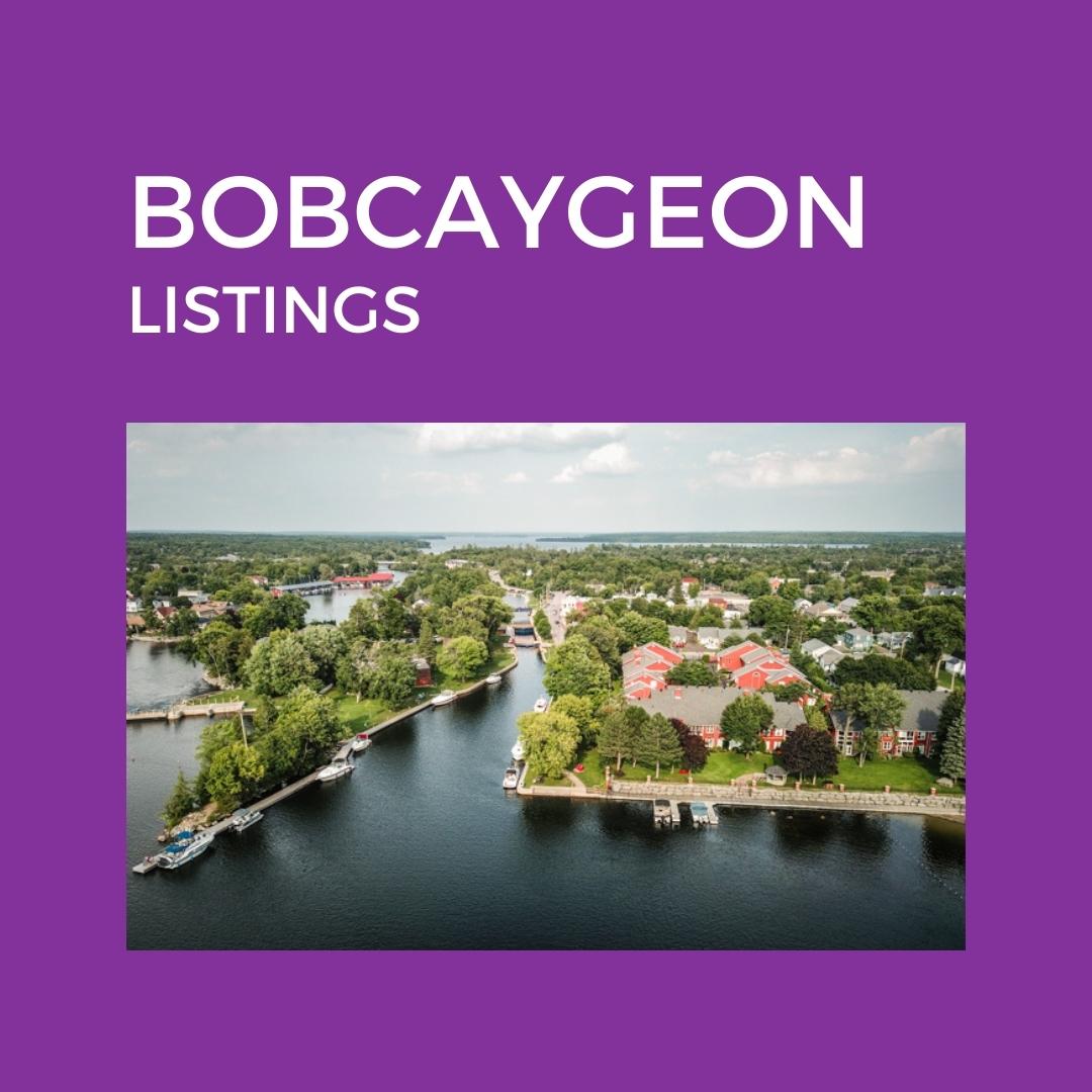 Home Kawartha Lakes Area Real Estate TeamJoy