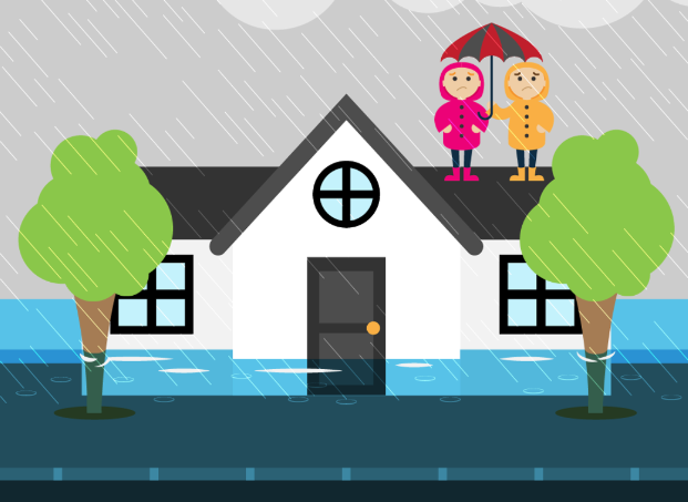 5 simple ways to prevent and fix water damage and mould