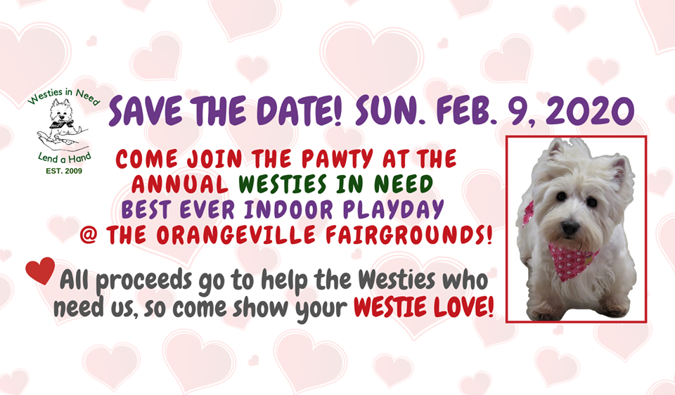Westies in Need Resuce