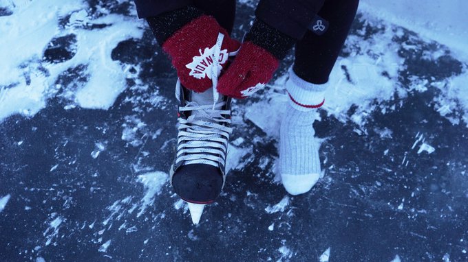 Island Lake Conservation Area Moonlight 