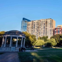 residential towers overlooking a park
