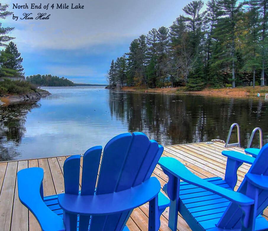 Kawartha Lakes Waterfront Specialists The Hale Team Kawartha