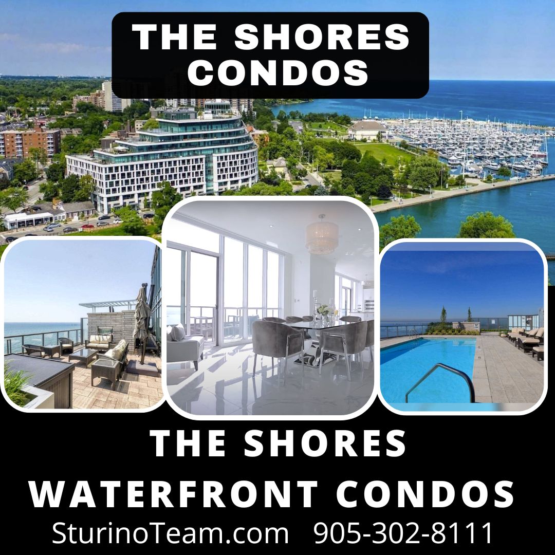 The Shores Condos Oakville Waterfront Condos Sturino Team Real Estate