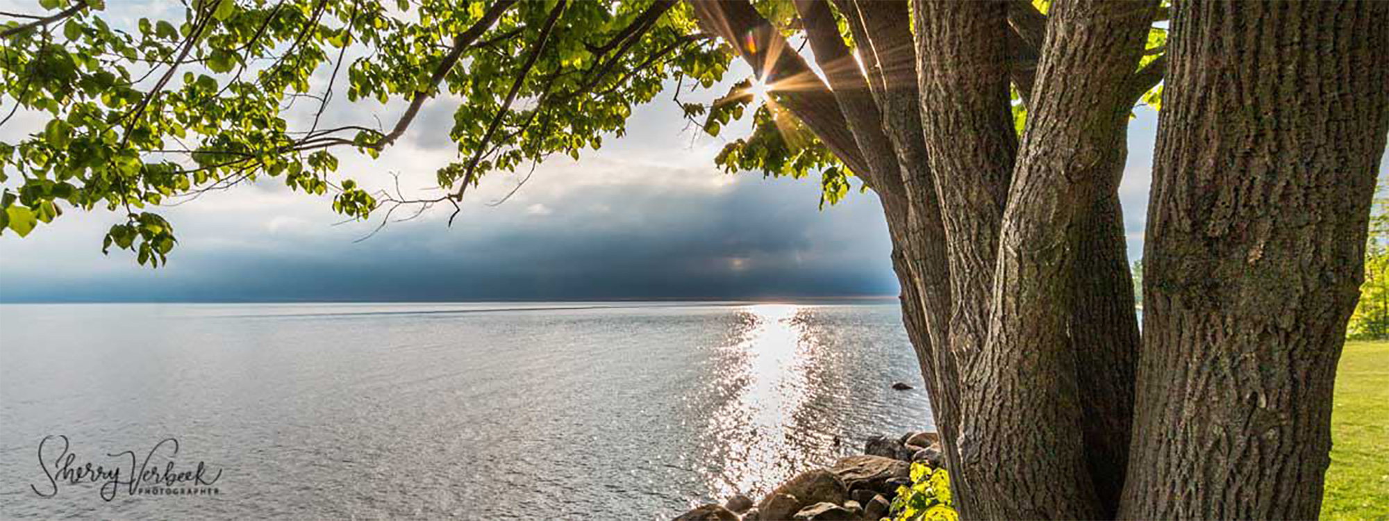 Home Leo Dubeau Real Estate Royal LePage In Touch Realty Brokerage