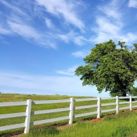 Things to Consider Before Buying Your First Acreage