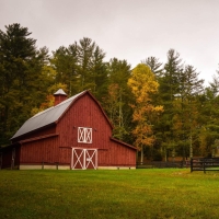 As autumn settles over the Shuswap and BC Interior, the fields begin to tell a different story. Summer’s long days give way to crisp mornings, golden hillsides, and the satisfying work of bringing in the season’s final harvests.