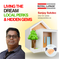 Sanjay real estate agent