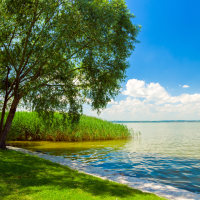 SUMMER FUN IN VICTORIA PARK!