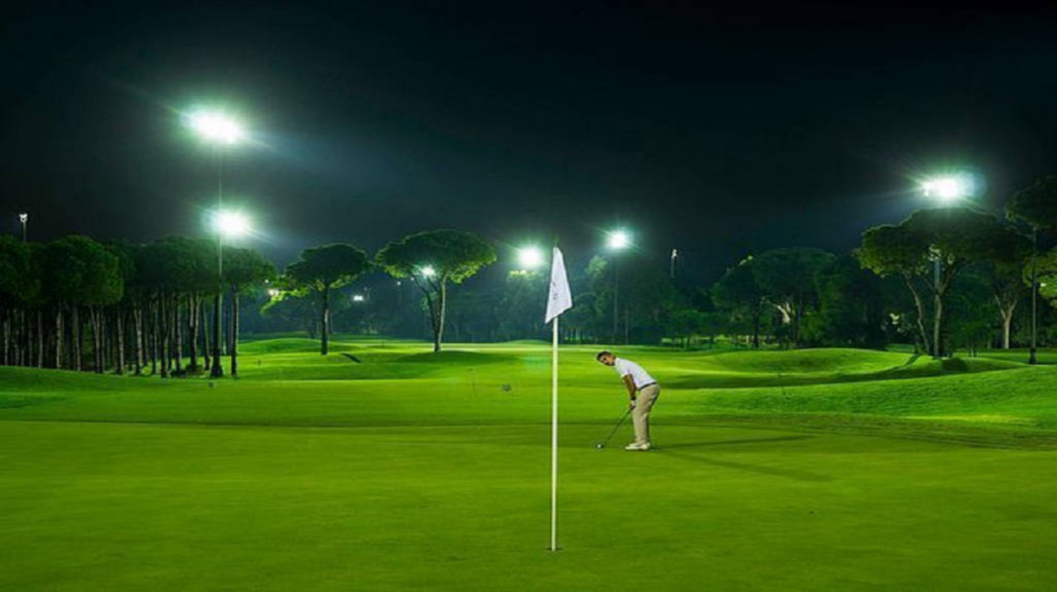 Home Michael Gallant Real Estate