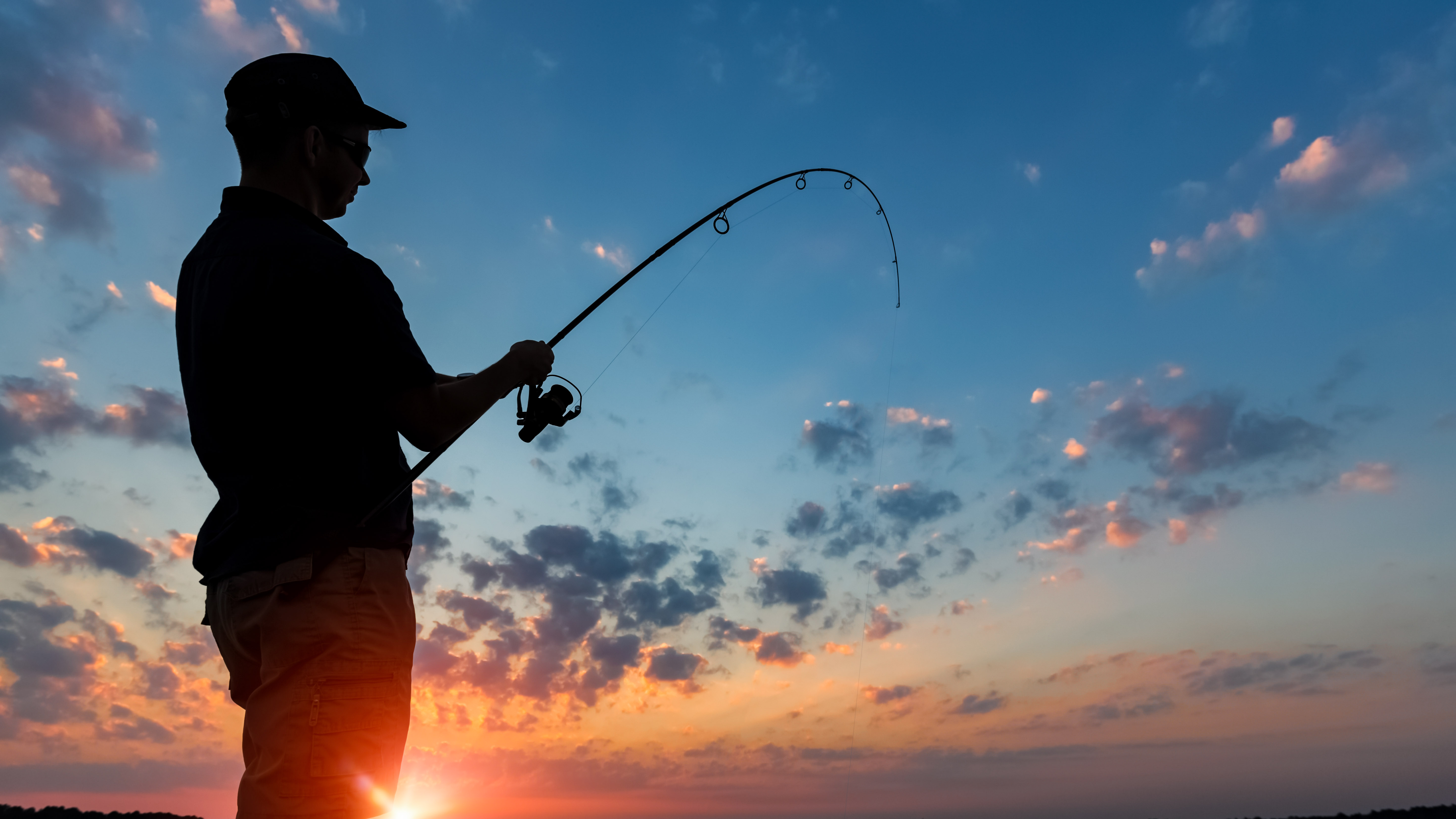 Home Michael Gallant Real Estate