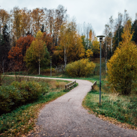 Parks & Trails in Dufferin Grove - Curvy Trail in the Fall