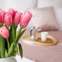 Spring Into Homeownership: Why Spring is the Best Time to Buy in Peterborough & the Kawarthas